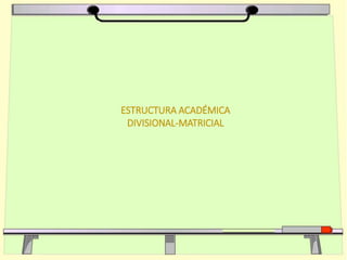 ESTRUCTURA ACADÉMICA
DIVISIONAL-MATRICIAL
 