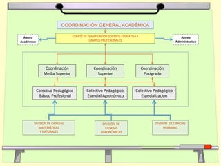 Colectivo Pedagógico
Básico Profesional
Colectivo Pedagógico
Esencial Agronómico
Colectivo Pedagógico
Especialización
COMITÉ DE PLANIFICACIÓN DOCENTE-EDUCATIVA Y
CAMPOS PROFESIONALES
Coordinación
Superior
Coordinación
Postgrado
Apoyo
Académico
Coordinación
Media Superior
COORDINACIÓN GENERAL ACADÉMICA
DIVISIÓN DE
CIENCIAS
AGRONÓMICAS
DIVISIÓN DE CIENCIAS
MATEMÁTICAS
Y NATURALES
DIVISIÓN DE CIENCIAS
HUMANAS
Apoyo
Administrativo
 