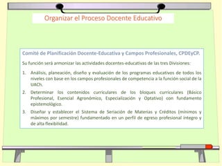 Comité de Planificación Docente-Educativa y Campos Profesionales, CPDEyCP.
Su función será armonizar las actividades docentes-educativas de las tres Divisiones:
1. Análisis, planeación, diseño y evaluación de los programas educativos de todos los
niveles con base en los campos profesionales de competencia a la función social de la
UACh.
2. Determinar los contenidos curriculares de los bloques curriculares (Básico
Profesional, Esencial Agronómico, Especialización y Optativo) con fundamento
epistemológico.
3. Diseñar y establecer el Sistema de Seriación de Materias y Créditos (mínimos y
máximos por semestre) fundamentado en un perfil de egreso profesional íntegro y
de alta flexibilidad.
Organizar el Proceso Docente Educativo
 
