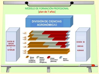MODELO DE FORMACIÓN PROFESIONAL
[plan de 7 años]
 