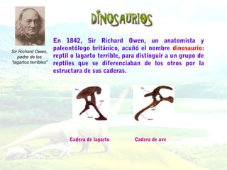 En 1842, Sir Richard Owen, un anatomista y
paleontólogo británico, acuñó el nombre dinosaurio:
reptil o lagarto terrible, para distinguir a un grupo de
reptiles que se diferenciaban de los otros por la
estructura de sus caderas.
Cadera de lagarto Cadera de ave
Sir Richard Owen,
padre de los
“lagartos terribles”
 