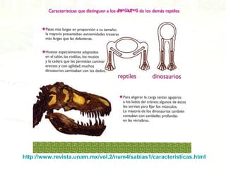 http://www.revista.unam.mx/vol.2/num4/sabias1/caracteristicas.html
 