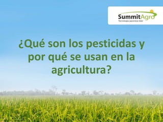 ¿Qué son los pesticidas y
por qué se usan en la
agricultura?
 