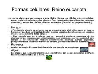 Formas celulares: Reino eucariota
Los seres vivos que pertenecen a este Reino tienen las células más complejas,
   como la de los animales y las plantas. Son heterótrofos (se alimentan de otros
   animales); menos las plantas que son autótrofas (fabrican su propio alimento).

•   Hongos:
•   - Por ejemplo, el moho es un hongo que se encuentra tanto al aire libre como en lugares
    húmedos y con baja luminosidad. Existen muchas especies de mohos que son especies
    microscópicas del reino de los hongos.
•   - Otro ejemplo son las levaduras, que se denomina levadura a cualquiera de los
    diversos hongos microscópicos unicelularesque son importantes por su capacidad para
    realizar la descomposición mediantefermentación de diversos cuerpos orgánicos,
    principalmente los azúcares o hidratos de carbono, produciendo distintas sustancias.
•   Protozoos:
-   Ameba, paramecio. El causante de la malaria, por ejemplo, es un protozoo.
•   Algas:
-   Las algas sí que realizan la fotosíntesis, son autótrofas. Son las que desarrollan el 70% de
    la actividad fotosintética de la Tierra.
 