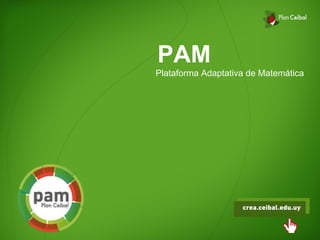 PAM 
Plataforma Adaptativa de Matemática 
 