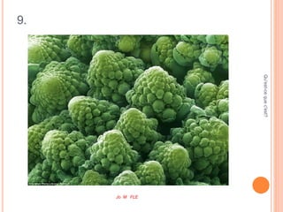 9.
Qu'est-cequec'est?
Jo M FLE
 