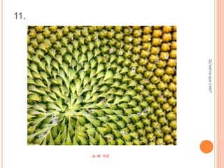 11.
Qu'est-cequec'est?
Jo M FLE
 