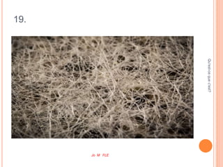 19.
Qu'est-cequec'est?
Jo M FLE
 