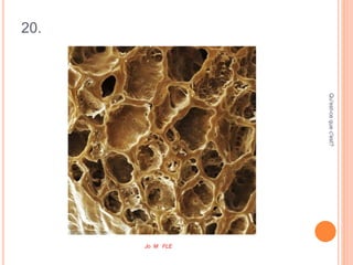 20.
Qu'est-cequec'est?
Jo M FLE
 