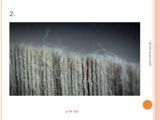 2.
Qu'est-cequec'est?
Jo M FLE
 