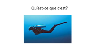 Qu’est-ce que c’est?
 