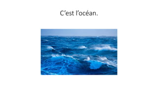 C’est l’océan.
 