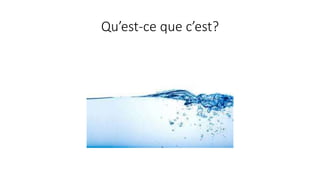 Qu’est-ce que c’est?
 