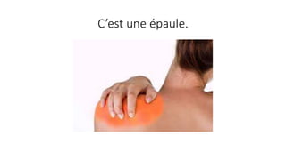 C’est une épaule.
 