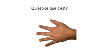 Qu’est-ce que c’est?
 