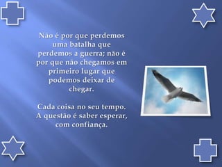 Não é por que perdemos uma batalha que perdemos a guerra; não é por que não chegamos em primeiro lugar que podemos deixar de chegar.Cada coisa no seu tempo. A questão é saber esperar, com confiança.