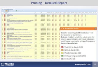 Pruning – Detailed Report 
14  