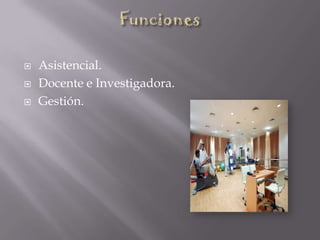  Asistencial.
 Docente e Investigadora.
 Gestión.
 