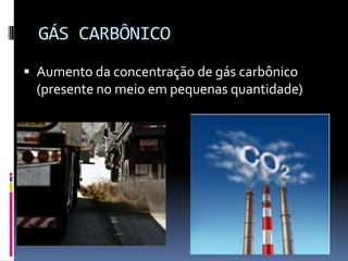 GÁS CARBÔNICO
 Aumento da concentração de gás carbônico
(presente no meio em pequenas quantidade)
 