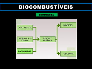 BIODIESEL
BIOCOMBUSTÍVEISBIOCOMBUSTÍVEIS
CATALISADOR
 