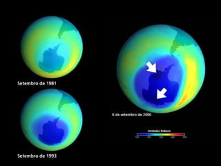 Questões ambientais