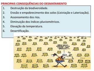 PRINCIPAIS CONSEQUÊNCIAS DO DESMATAMENTO
1. Destruição da biodiversidade.
2. Erosão e empobrecimento dos solos (Lixiviação e Laterização).
3. Assoreamento dos rios.
4. Diminuição dos índices pluviométricos.
5. Elevação da temperatura.
6. Desertificação.
 