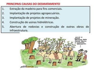 PRINCIPAIS CAUSAS DO DESMATAMENTO
1. Extração da madeira para fins comerciais.
2. Implantação de projetos agropecuários.
3. Implantação de projetos de mineração.
4. Construção de usinas hidrelétricas.
5. Abertura de rodovias e construção de outras obras de
infraestrutura.
 