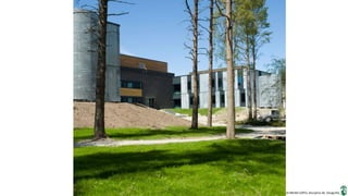 Apresentação elaborada pela Professora FERNANDA BRUM LOPES, disciplina de Geografia
 