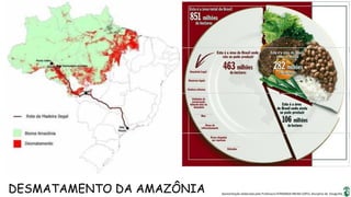 Apresentação elaborada pela Professora FERNANDA BRUM LOPES, disciplina de Geografia
DESMATAMENTO DA AMAZÔNIA
 