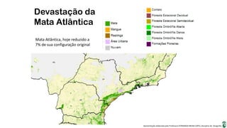 Apresentação elaborada pela Professora FERNANDA BRUM LOPES, disciplina de Geografia
Devastação da
Mata Atlântica
Mata Atlântica, hoje reduzido a
7% de sua configuração original
 