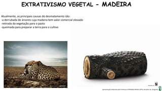 Apresentação elaborada pela Professora FERNANDA BRUM LOPES, disciplina de Geografia
EXTRATIVISMO VEGETAL - MADEIRA
Atualmente, as principais causas do desmatamento são:
-a derrubada de árvores cuja madeira tem valor comercial elevado
-retirada da vegetação para o pasto
-queimada para preparar a terra para o cultivo
 