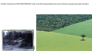 Apresentação elaborada pela Professora FERNANDA BRUM LOPES, disciplina de Geografia
Também chamado de DESFLORESTAMENTO, trata-se da destruição gradativa das áreas florestais causadas pela ação antrópica.
 