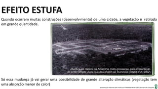 Apresentação elaborada pela Professora FERNANDA BRUM LOPES, disciplina de Geografia
Quando ocorrem muitas construções (desenvolvimento) de uma cidade, a vegetação é retirada
em grande quantidade.
Só essa mudança já vai gerar uma possibilidade de grande alteração climáticas (vegetação tem
uma absorção menor de calor)
 