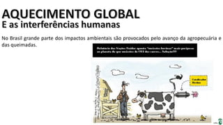Apresentação elaborada pela Professora FERNANDA BRUM LOPES, disciplina de Geografia
No Brasil grande parte dos impactos ambientais são provocados pelo avanço da agropecuária e
das queimadas.
 