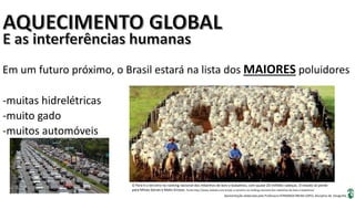 Apresentação elaborada pela Professora FERNANDA BRUM LOPES, disciplina de Geografia
Em um futuro próximo, o Brasil estará na lista dos MAIORES poluidores
-muitas hidrelétricas
-muito gado
-muitos automóveis
O Pará é o terceiro no ranking nacional dos rebanhos de bois e bubalinos, com quase 20 milhões cabeças. O estado só perde
para Minas Gerais e Mato Grosso. Fonte:http://www.zedudu.com.br/par-o-terceiro-no-ranking-nacional-dos-rebanhos-de-bois-e-bubalinos/
 