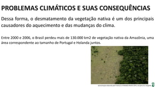 Apresentação elaborada pela Professora FERNANDA BRUM LOPES, disciplina de Geografia
Dessa forma, o desmatamento da vegetação nativa é um dos principais
causadores do aquecimento e das mudanças do clima.
Entre 2000 e 2006, o Brasil perdeu mais de 130.000 km2 de vegetação nativa da Amazônia, uma
área correspondente ao tamanho de Portugal e Holanda juntos.
 