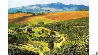 Apresentação elaborada pela Professora FERNANDA BRUM LOPES, disciplina de Geografia
 