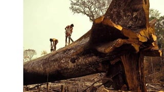 Apresentação elaborada pela Professora FERNANDA BRUM LOPES, disciplina de Geografia
 