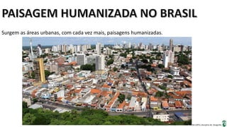 Apresentação elaborada pela Professora FERNANDA BRUM LOPES, disciplina de Geografia
Surgem as áreas urbanas, com cada vez mais, paisagens humanizadas.
 