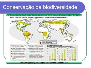 Temas programados para a RIO+10

    ENERGIA.Os países deveriam estabelecer metas
     de 10% de uso de fontes renováveis...
