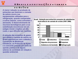 A menor redução na produção de poluentes que destroem a camada de ozônio ocorre nos equipamentos utilizados para a refrigeração, quando comparadas a outros setores, como solventes e aerossóis. O desenvolvimento de recursos tecnológicos para a sua substituição encontra-se em um estágio inicial e implica um alto custo, o que dificulta tais medidas. A redução das emissões de gases que afetam a camada de ozônio no Brasil relaciona-se com a adesão à Convenção de Mudanças Climáticas, ao Protocolo de Kyoto e à crescente pressão por parte da opinião pública e de alguns setores da sociedade em relação à questão ambiental. O Brasil e a destruição da camada de Ozônio 