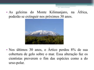 • As geleiras do Monte Kilimanjaro, na África,
poderão se extinguir nos próximos 30 anos.
• Nos últimos 30 anos, o Ártico perdeu 8% de sua
cobertura de gelo sobre o mar. Essa alteração faz os
cientistas preverem o fim das espécies como a do
urso-polar.
Prof.: Andressa Sucharski
 