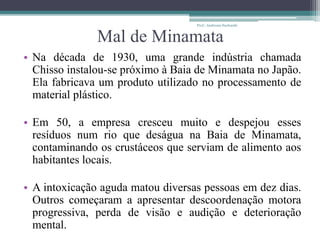 Mal de Minamata
• Na década de 1930, uma grande indústria chamada
Chisso instalou-se próximo à Baia de Minamata no Japão.
Ela fabricava um produto utilizado no processamento de
material plástico.
• Em 50, a empresa cresceu muito e despejou esses
resíduos num rio que deságua na Baia de Minamata,
contaminando os crustáceos que serviam de alimento aos
habitantes locais.
• A intoxicação aguda matou diversas pessoas em dez dias.
Outros começaram a apresentar descoordenação motora
progressiva, perda de visão e audição e deterioração
mental.
Prof.: Andressa Sucharski
 