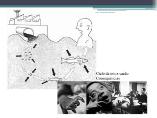 Ciclo da intoxicação
Consequências
Prof.: Andressa Sucharski
 