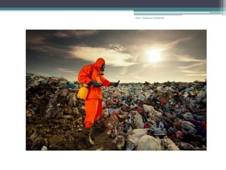 Prof.: Andressa Sucharski
 