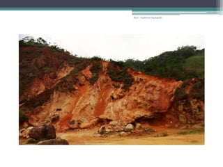 Prof.: Andressa Sucharski
 