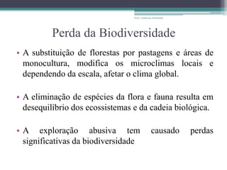 Perda da Biodiversidade
• A substituição de florestas por pastagens e áreas de
monocultura, modifica os microclimas locais e
dependendo da escala, afetar o clima global.
• A eliminação de espécies da flora e fauna resulta em
desequilíbrio dos ecossistemas e da cadeia biológica.
• A exploração abusiva tem causado perdas
significativas da biodiversidade
Prof.: Andressa Sucharski
 
