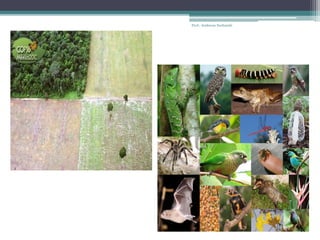 Prof.: Andressa Sucharski
 