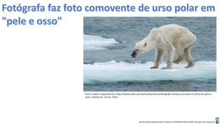Apresentação elaborada pela Professora FERNANDA BRUM LOPES, disciplina de Geografia
Fonte. Exame. Disponível em:<http://exame.abril.com.br/mundo/noticias/fotografa-retrata-urso-polar-no-artico-em-pele-e-
osso>. Acesso em: 12 nov. 2015.
 