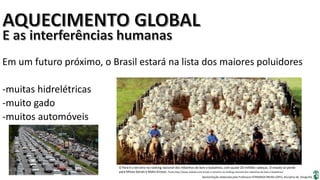 Apresentação elaborada pela Professora FERNANDA BRUM LOPES, disciplina de Geografia
Em um futuro próximo, o Brasil estará na lista dos maiores poluidores
-muitas hidrelétricas
-muito gado
-muitos automóveis
O Pará é o terceiro no ranking nacional dos rebanhos de bois e bubalinos, com quase 20 milhões cabeças. O estado só perde
para Minas Gerais e Mato Grosso. Fonte:http://www.zedudu.com.br/par-o-terceiro-no-ranking-nacional-dos-rebanhos-de-bois-e-bubalinos/
 